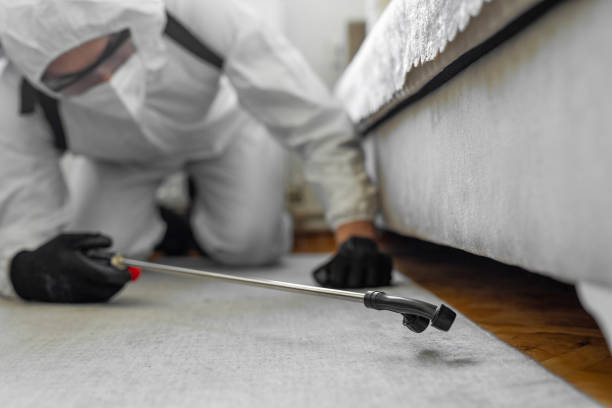 Professional Ant Control technician working in Monticello, WI