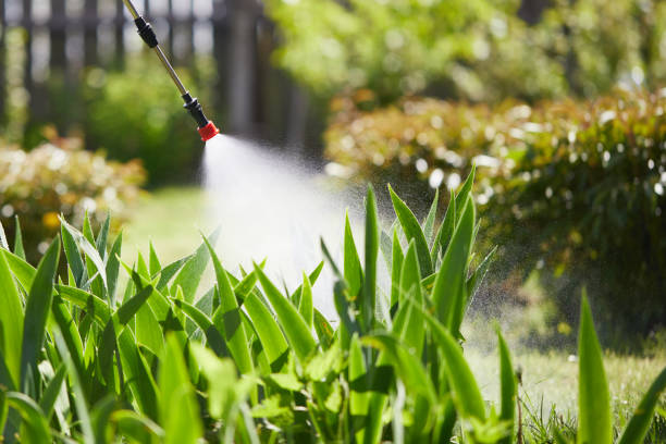 24/7 Emergency Wasp Removal experts in Monticello, WI